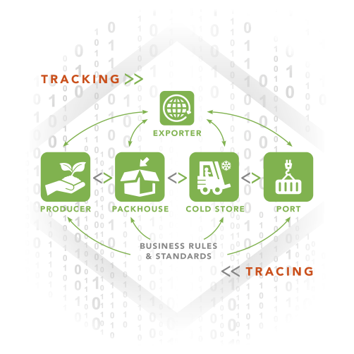 Paltrack Logistics