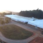 Dole invests in South African tropical fruit export business