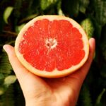 Grapefruit exports forecast to surge 16 per cent in South Africa