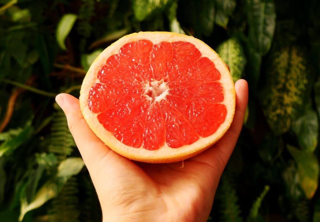 Grapefruit exports forecast to surge 16 per cent in South Africa